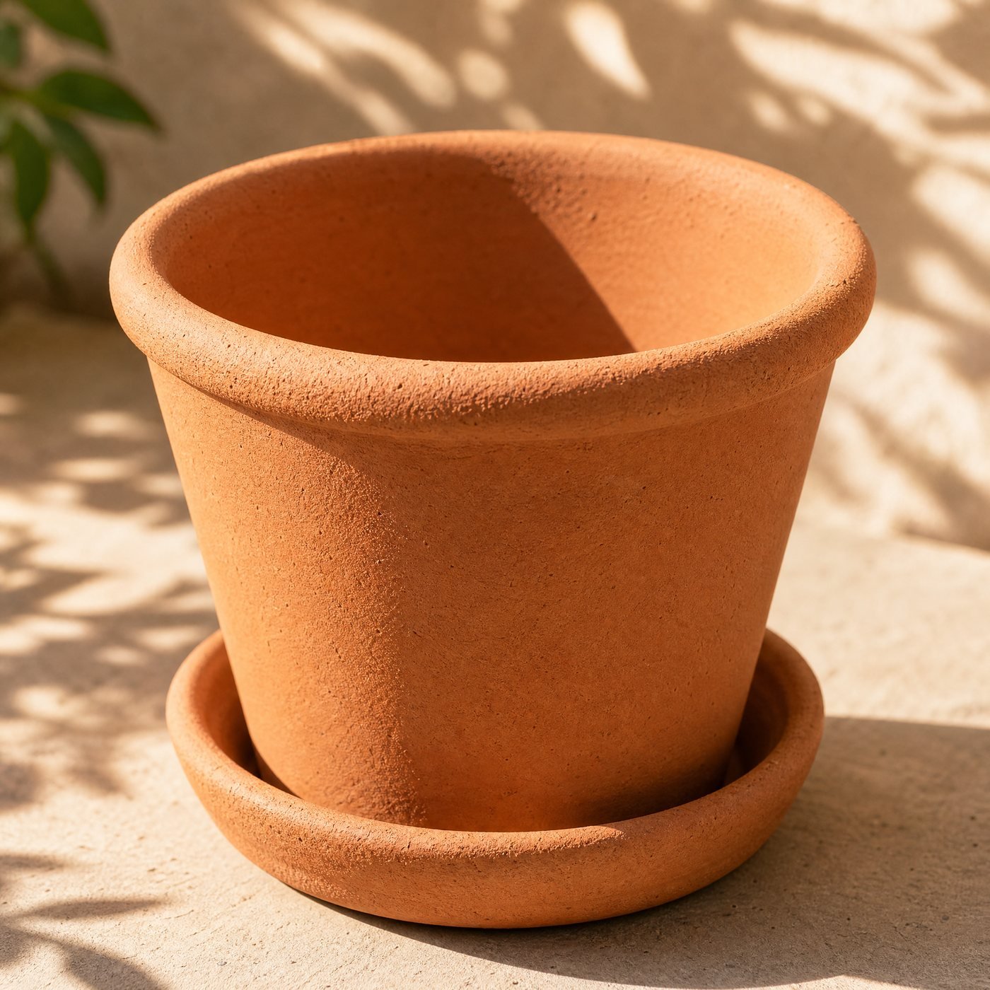 Classic Terracotta Pot with Saucer — detail of the rolled rim and the slightly rough unglazed clay surface