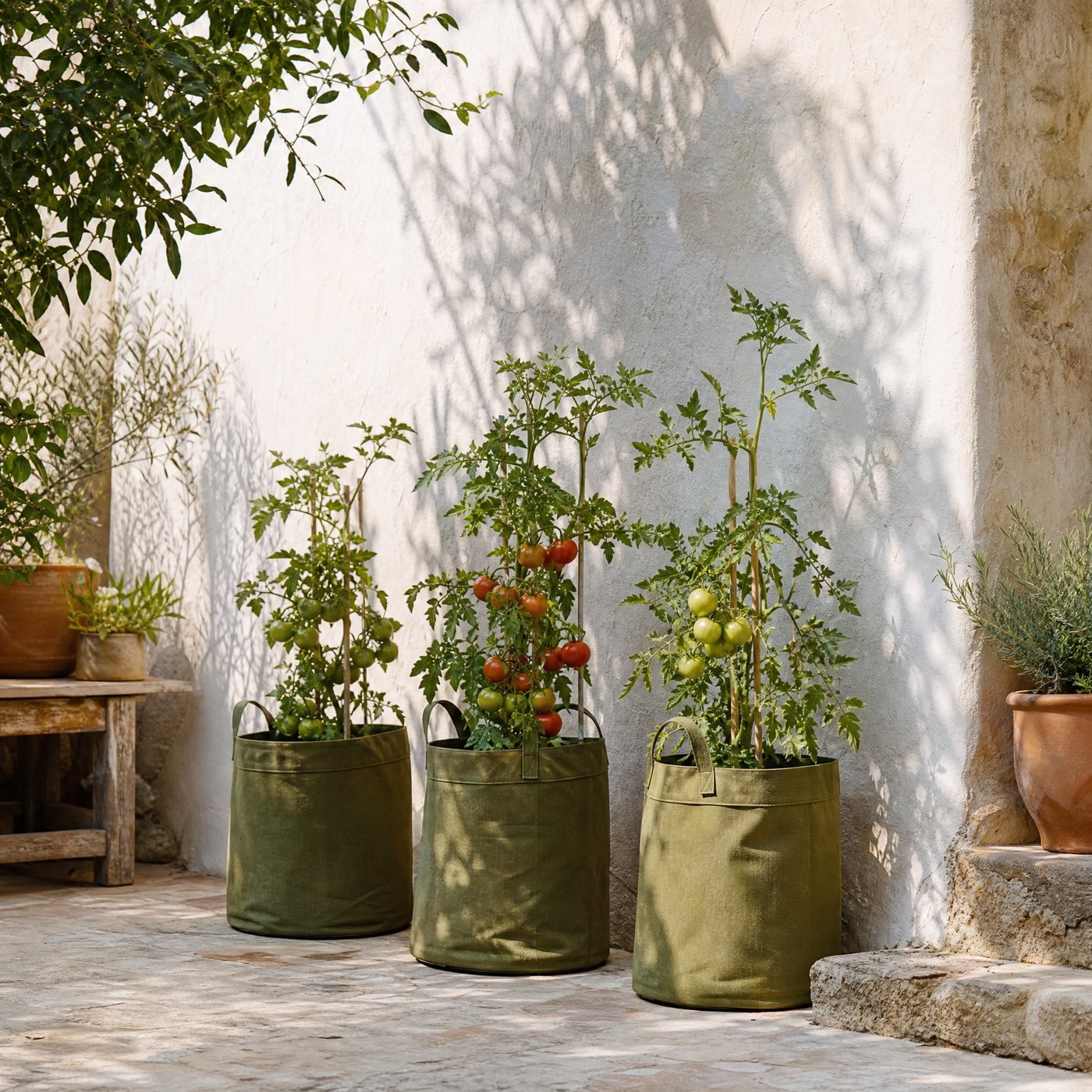 Non-woven Grow Bags, Set of 3 — a sunny patio with three olive fabric grow bags holding tomato plants against a limewashed wall